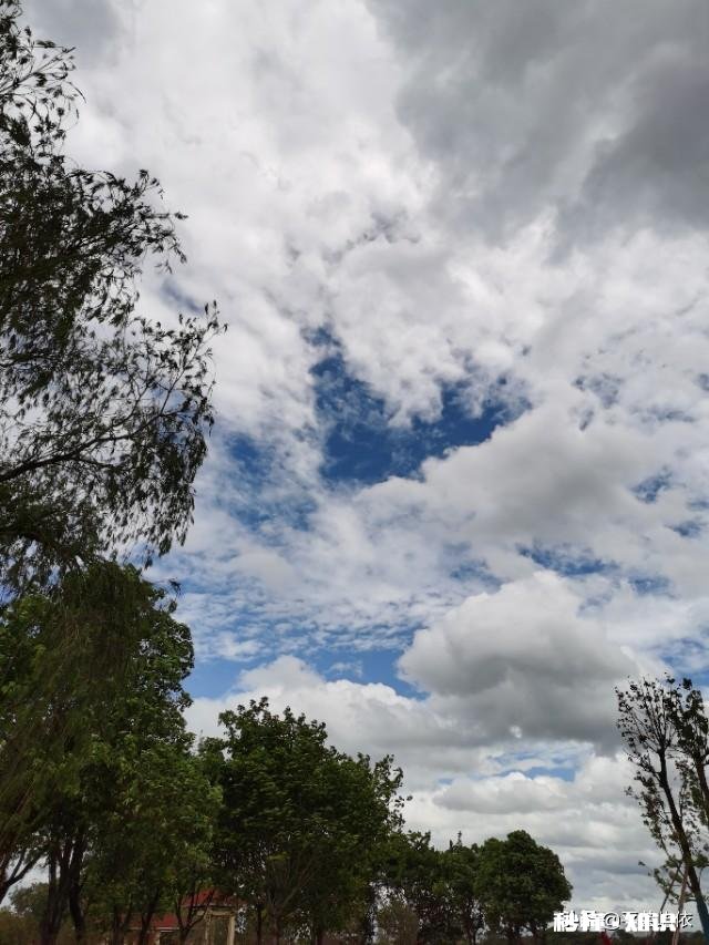 你们有没有最好的朋友去世的经历是怎样从悲伤里走出来的