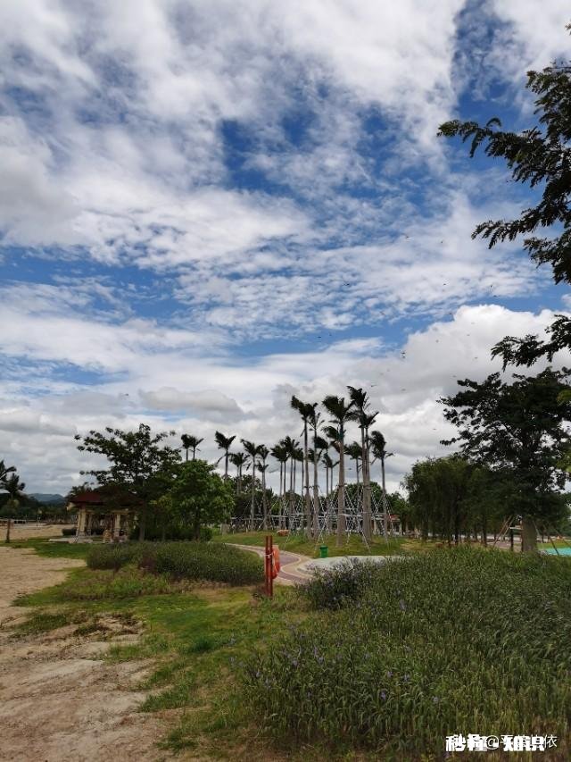 你们有没有最好的朋友去世的经历是怎样从悲伤里走出来的