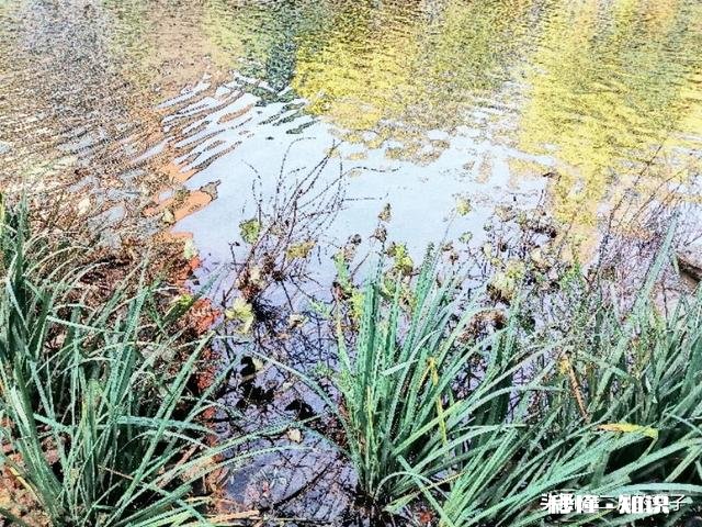 你们有没有最好的朋友去世的经历是怎样从悲伤里走出来的