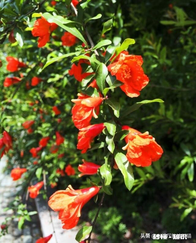 人每天怎么才能有精神