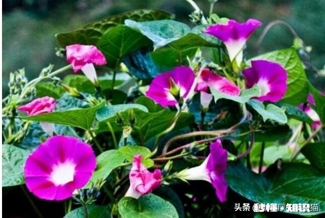 人每天怎么才能有精神