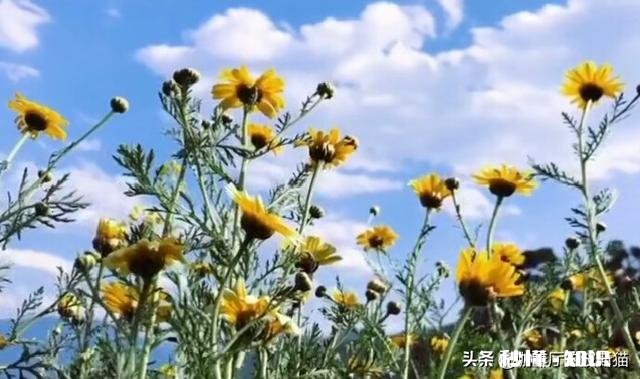 人每天怎么才能有精神