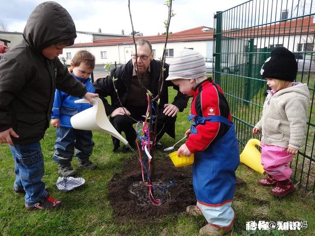 孩子上幼儿园，是选以游戏为主的公立幼儿园，还是选教学习的私立幼儿园