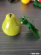 我申请手工兴趣领域创作者，但是根本找不到这个领域的问题，怎么办