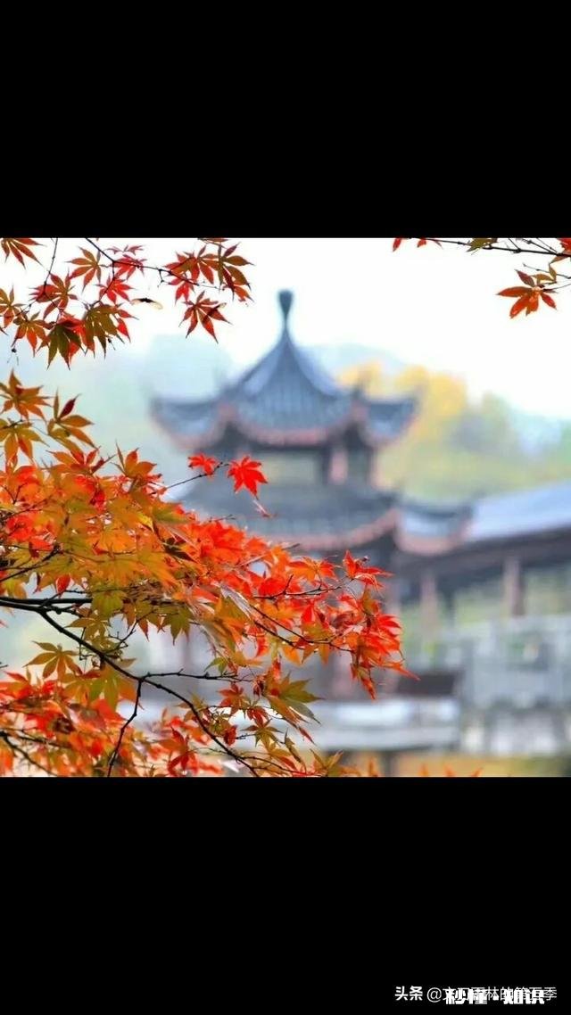 心情不好时，怎样调节