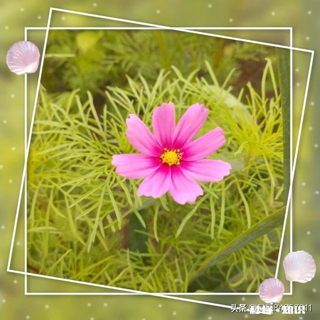 心情不好时，怎样调节