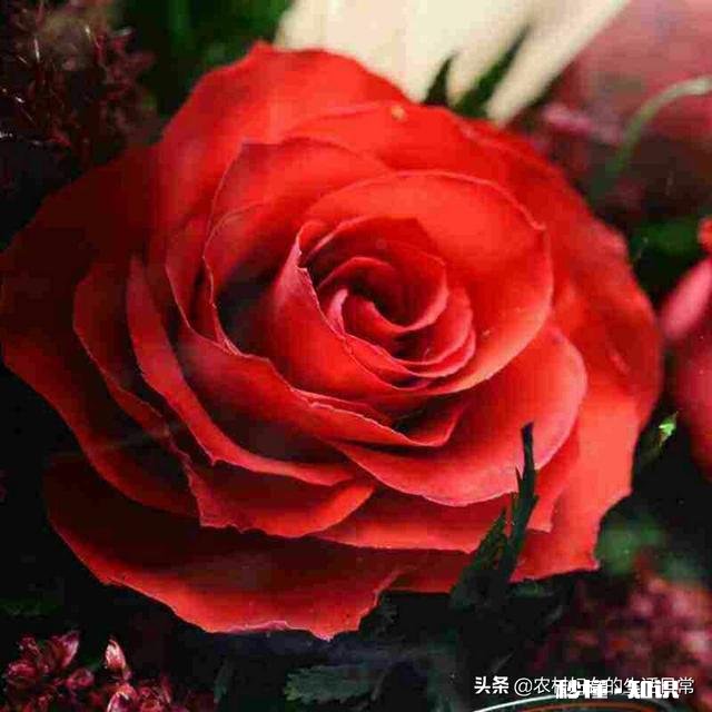 没有安全感的两个人在一起会怎样