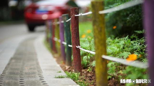 长焦相机如何拍出主题清晰背景虚幻的照片
