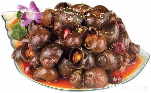 原产于国外的福寿螺，曾与小龙虾齐名，养殖不愁销路，为何走下神坛