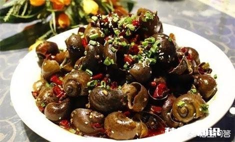 原产于国外的福寿螺，曾与小龙虾齐名，养殖不愁销路，为何走下神坛