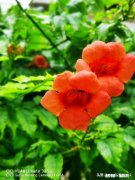 怎么才能快速找到男盆友把自己嫁掉唉！都22岁了咋办愁啊