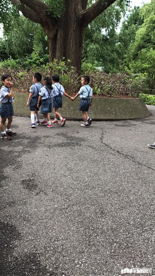 在日本生孩子，有什么福利