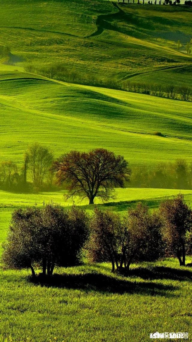 如果要你离开上海，你最舍不得的是什么