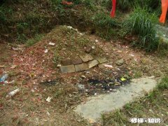 按照疫情的发展，今年清明节还能祭拜祖先吗