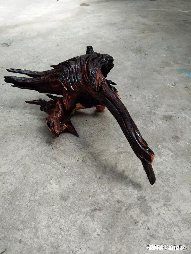 朽木根雕如何加工