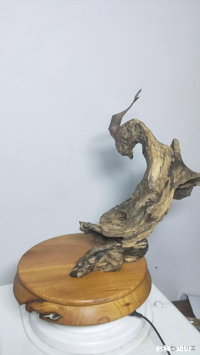朽木根雕如何加工