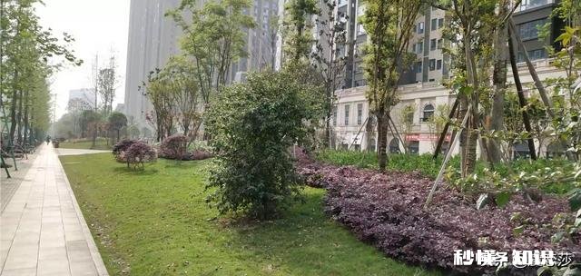 二手房翻新需要注意什么