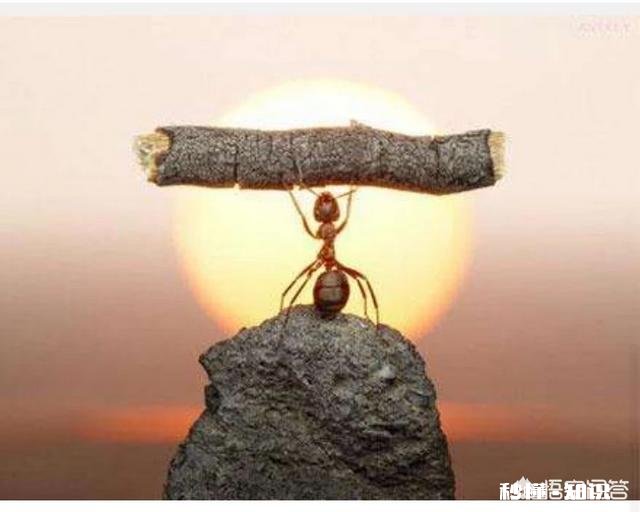 哪所大学的法学专业研究生比较好考