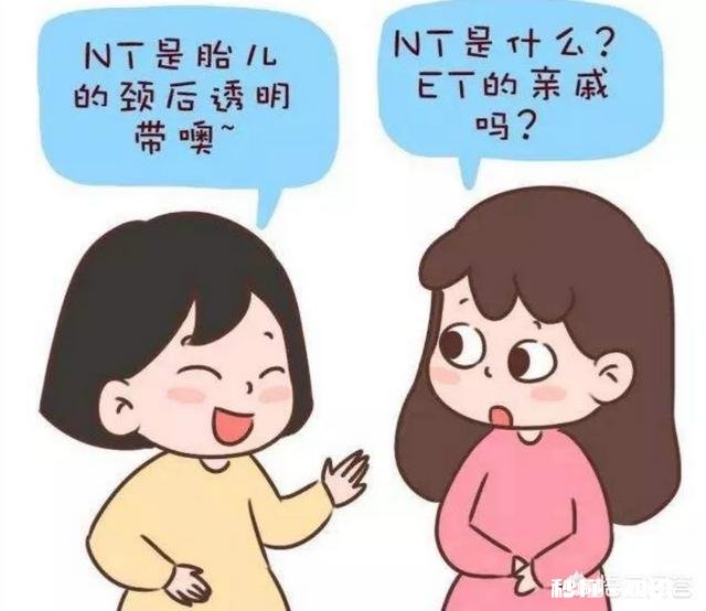 孕期的NT检查跟四维彩超都是必做的检查项目吗