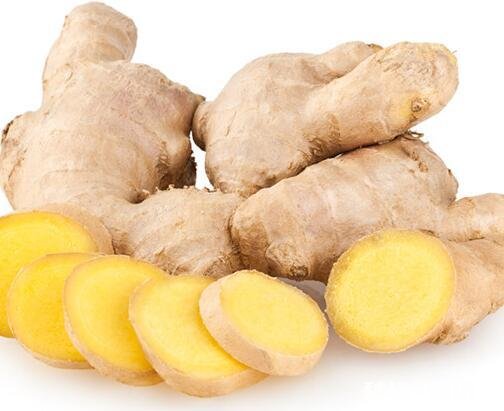 有什么好办法可以防治晕车