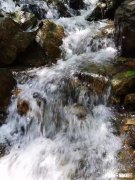 农村的山泉水与窖水哪个更好