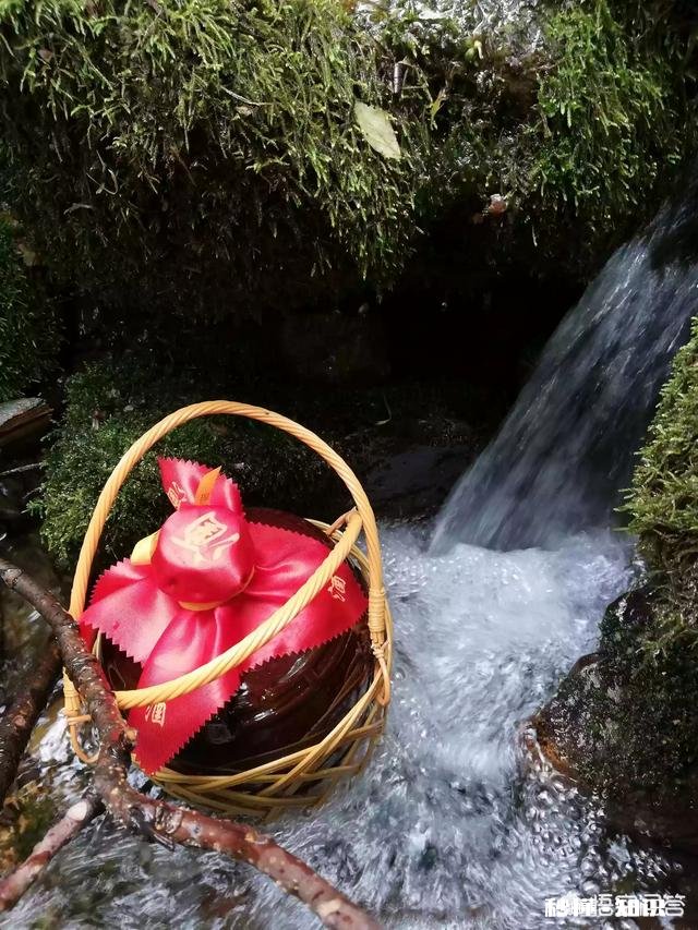 农村的山泉水与窖水哪个更好