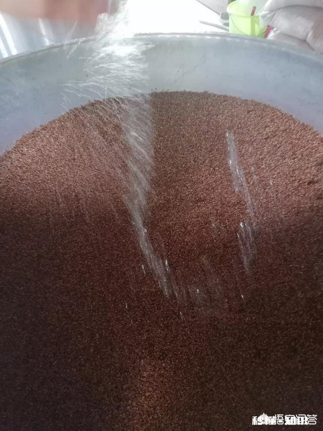 农村的山泉水与窖水哪个更好