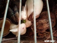 五十岁后的长期分居，永远分开好吗