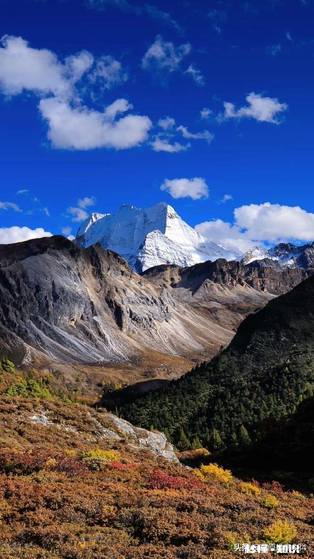 五十岁后的长期分居，永远分开好吗