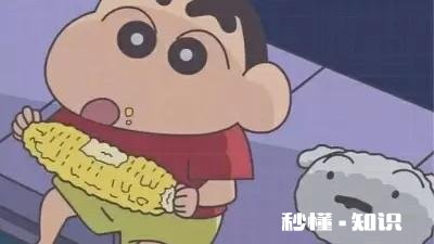 为什么在《蜡笔小新》中，小新总是记错正南家