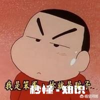 为什么在《蜡笔小新》中，小新总是记错正南家