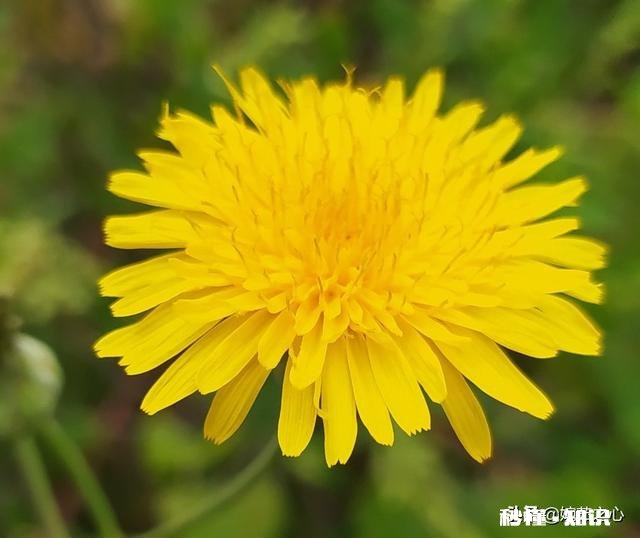 十年之后，当再次遇见你的初恋。你会说些什么