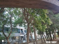 人过四十，都很念旧，很怀念过去，你有无这种感受，不妨分享一下