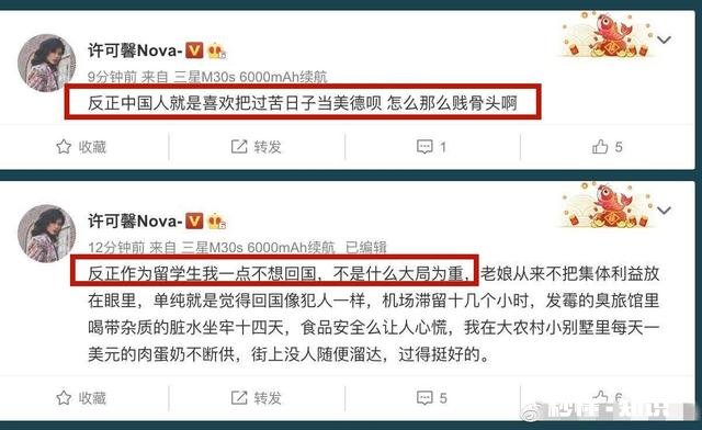 许可馨的言行到底算不算辱国难道发表过激言论就是辱国吗
