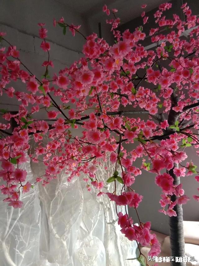 昨天，他没有回我信息，我心情反倒很失落，这是喜欢嘛 喜欢一个人是什么感觉