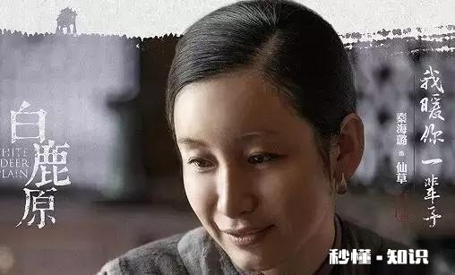 电视剧《白鹿原》真的好看吗和原著的差距有多大呢