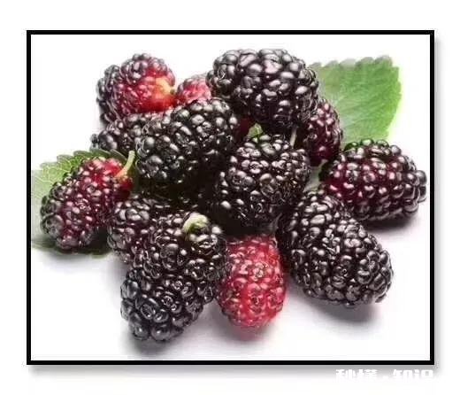 这次疫情很多人都有自己的使命，那么你为孩子的使命是什么