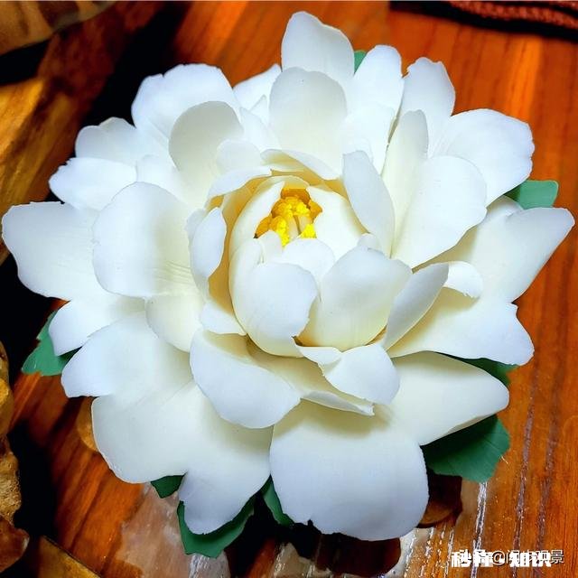 我老师照的漂亮的白鹭，两种后期风格哪种更好愿闻您的高见