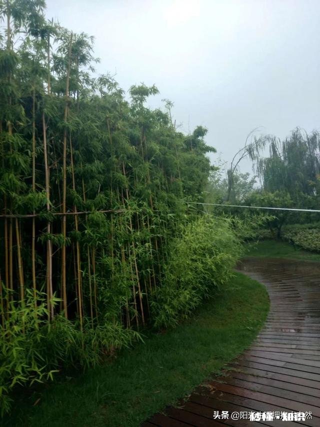 儿媳妇让我给孙子买奶粉也不说给钱，该怎样做