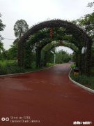 把一个人删了之后他再来加你是什么意思