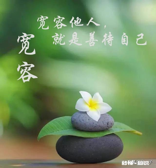 为什么要学会宽容