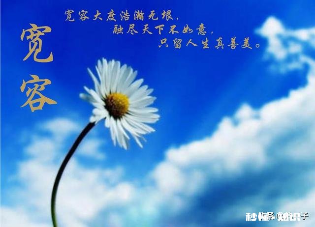 为什么要学会宽容