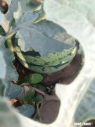 夫妻之间，一方付出太多，结局会如何