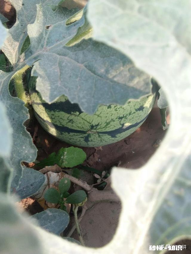 夫妻之间，一方付出太多，结局会如何