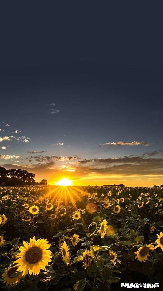 工作的好处有哪些