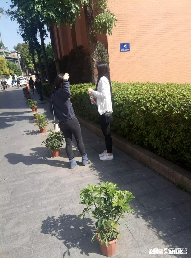 你个人觉得在中国哪个城市的帅哥最帅哪个城市的美女最美为什么