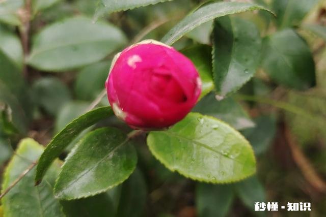 拉黑你的男人爱你吗