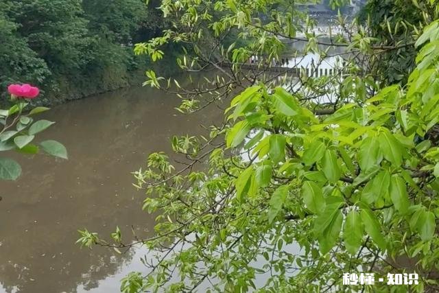 拉黑你的男人爱你吗