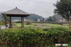 拉黑你的男人爱你吗