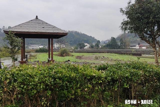 拉黑你的男人爱你吗